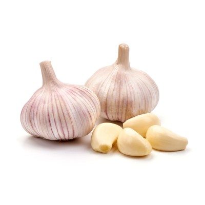 Чеснок крупный 1 кг - купить в Биме